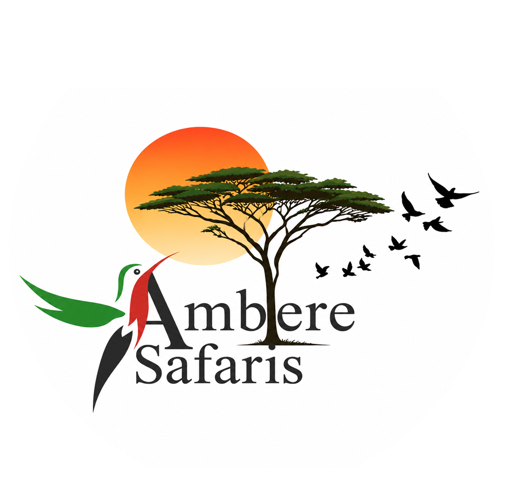 Ambiere Safaris — Bespoke Luxury Journeys